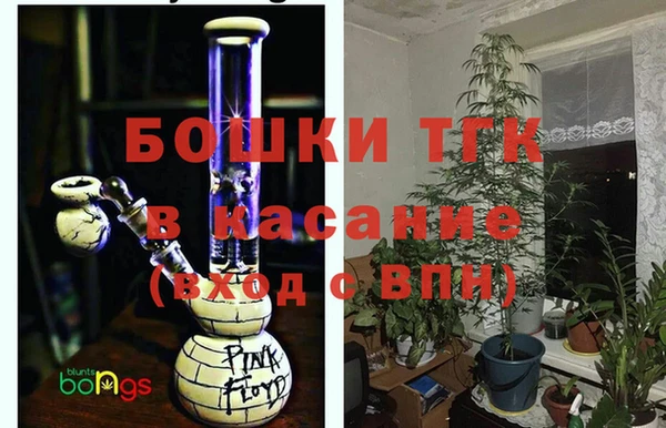 ECSTASY Новодвинск