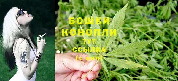 твердый Дмитриев