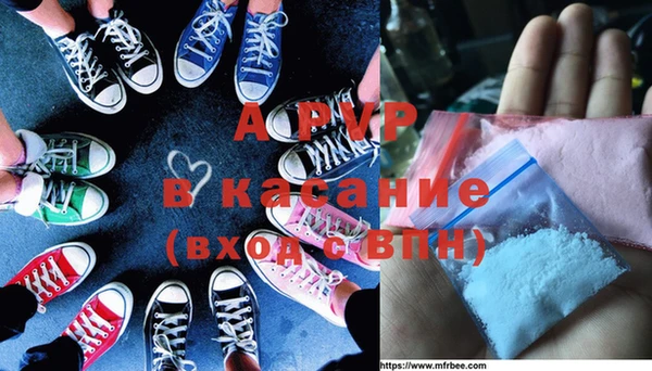 ECSTASY Новодвинск