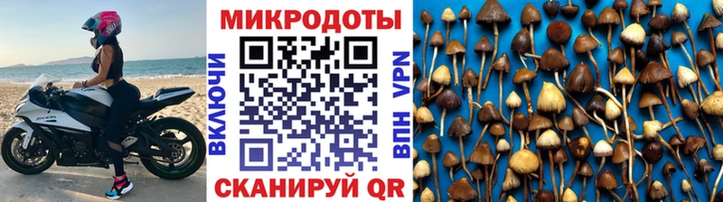 Галлюциногенные грибы Cubensis  хочу   Пикалёво 